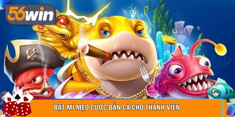 Bật mí mẹo cược bắn cá cho thành viên 
