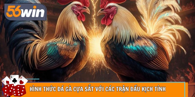 Hình thức đá gà cựa sắt với các trận đấu kịch tính