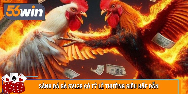 Sảnh đá gà SV128 có tỷ lệ thưởng siêu hấp dẫn