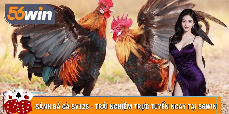 Sảnh Đá Gà SV128 - Trải Nghiệm Trực Tuyến Ngay Tại 56WIN