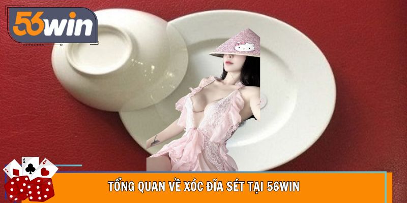 Giao diện xóc đĩa trực quan tại 56WIN
